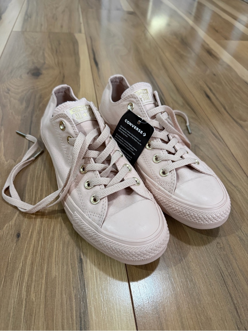 Converse Low Top Canvas Sneakers in Pale Pink with Gold Eyelets